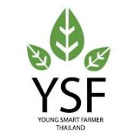 Logo Partner